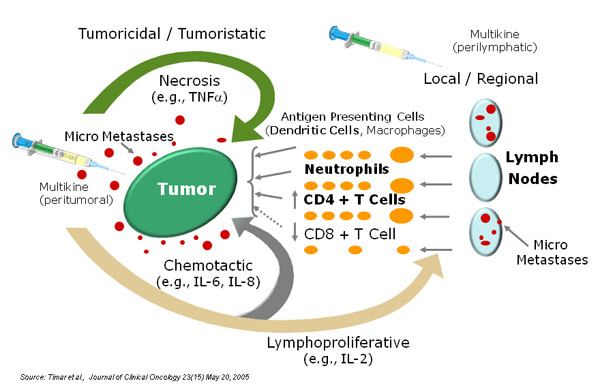 Mechanism Of Action
