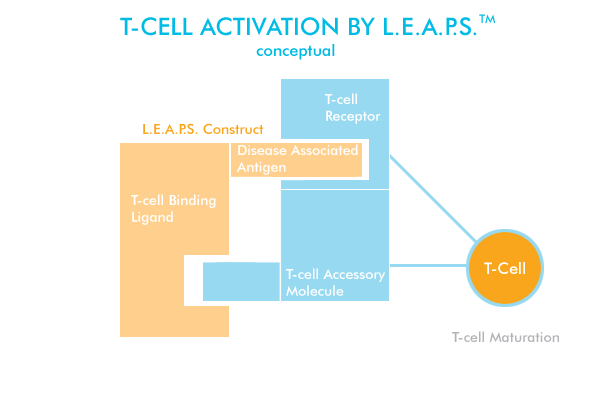 L.E.A.P.S Schematic